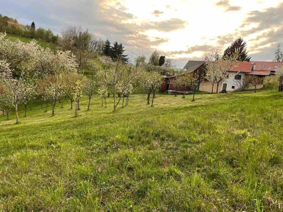 Villa Doma Samobor Eksteriør billede